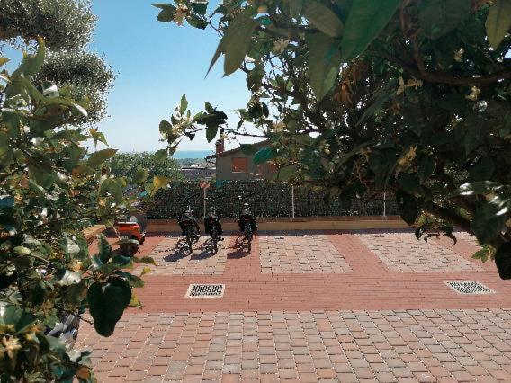 Dimora Effe - Eco B&B Termoli Exterior photo